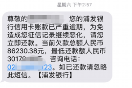 龙口融资清欠服务